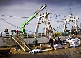 <span class="mw-page-title-main">Fishing in the Falkland Islands</span> Falkland Islands fishing industry