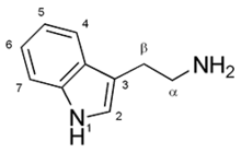 The general structure of tryptamines. Tryptamine structure.png