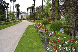 Tulipes en fleur au Jardin Massey de Tarbes 02.JPG