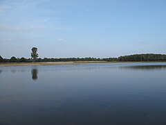 De Maasduinen Ulusal Parkı'ndaki Meuse