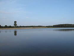 Tussen Wellerlooi en Twisteden, meer in Maasduinen 16.08.2009 18.30.JPG