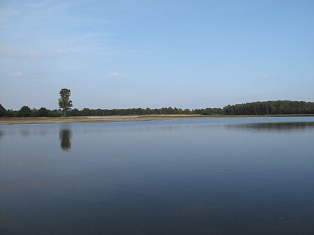 Tập_tin:Tussen_Wellerlooi_en_Twisteden,_meer_in_Maasduinen_2009-08-16_18.30.JPG