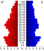 Age pyramid