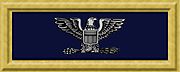 Union army col rank insignia