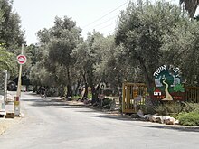 Usha, Israel 1.JPG