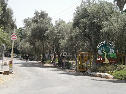 איך מגיעים באמצעות תחבורה ציבורית  לאושה? - מידע על המקום