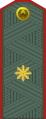 Generalbürgermeister (usbekische Bodentruppen)[76]