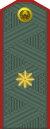 Узбекистан-армия-ОФ-6.svg