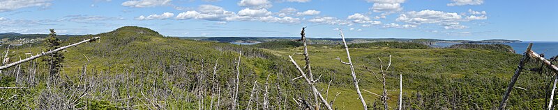 File:View from Skerwink Trail - Newfoundland 2019-08-14 (03).jpg