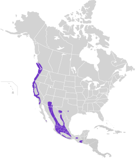 Distribución geográfica del vireo de Hutton.