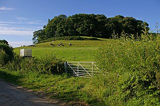 <span class="mw-page-title-main">Waddon Hill</span> Hill in Dorset, England