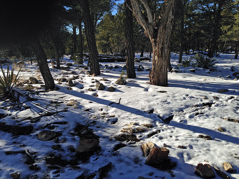 File:Walnut Canyon ruins 2.JPG