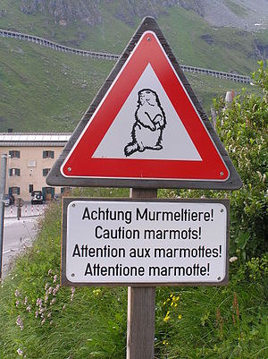 WarningMarmotAustria.JPG