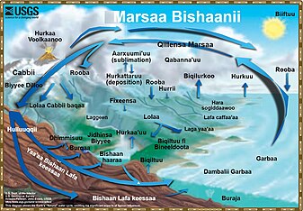 Marsaa Bishaanii