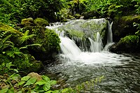 Waterfall in Mtirala National Park.JPG