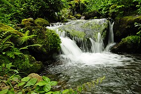 Waterfall in Mtirala National Park.JPG