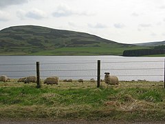 The Whiteadder Reservoir