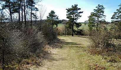 So kommt man zu Venusberg - Wolfsäcker - Besental / halde mit den Öffentlichen - Mehr zum Ort Hier