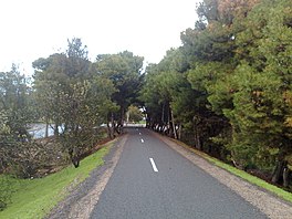 Willunga-marino railtrail in reynella.jpg