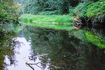 Yachats River, July 2010.