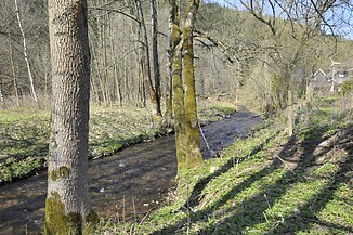 The Tame Gera en Geraberg (curso superior en Arlesberg)