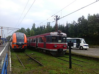 <span class="mw-page-title-main">2005 Świnna rail crash</span> Runaway train event in Poland in 2005