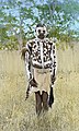 "Leopard Man, Livingstonia" Malawi, ca.1895 (imp-cswc-GB-237-CSWC47-LS3-1-040) (cropped).jpg