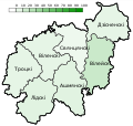 Ebrei lituani, locutori di dialetti locali o di lingua yiddish