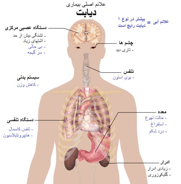 File:علائم اصلی دیابت.png