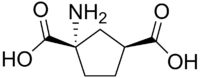 Stereo, skeletal formula of ACPD ((1S,3S)-1-amino,-1,3-dicarboxylic acid)
