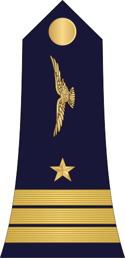 File:10.Cameroon Air Force-CPT.svg