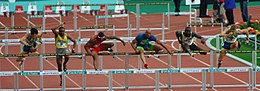 110 m hurdles.jpg