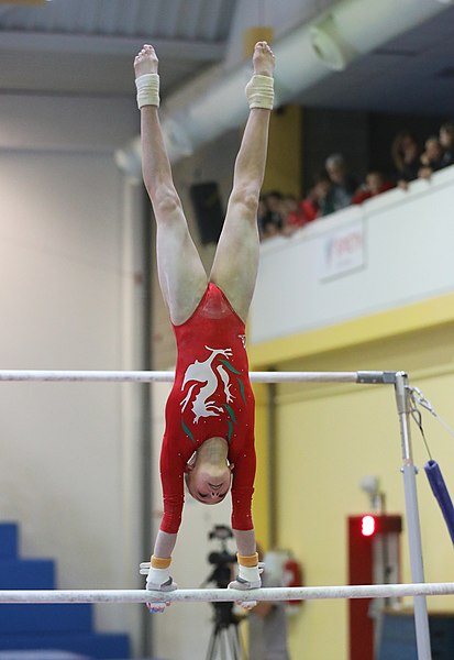 File:2019-11-30 OHC Liberec 2019 WAG Apparatus finals Uneven bars (Martin Rulsch) 101.jpg