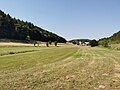 2020-08-09 11:48:52 File:2020-08-09 Umpfertalradweg von Uiffingen in Richtung Boxberg bis zur Hagenmühle 09.jpg