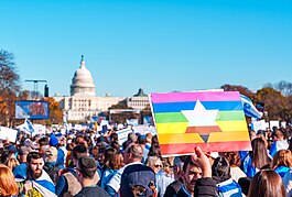 A sea of Israeli flags during The 2023 March for Israel Rally, including one Pride flag with the Star of David in the center