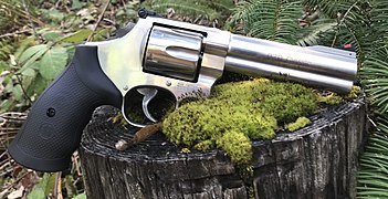 Smith & Wesson Model 629-6 Classic, with a 5" barrel.