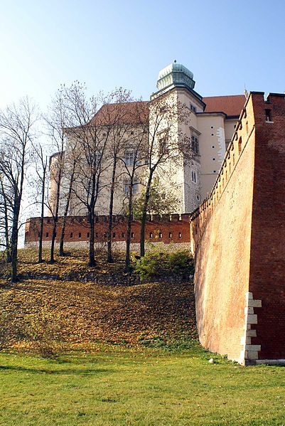 File:7384vik Wawel. Foto Barbara Maliszewska.jpg