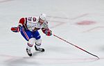 Thumbnail for Hamilton Bulldogs (AHL)