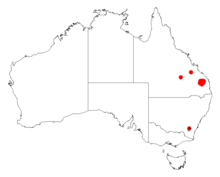 Acacia grandifoliaDistMap403.png