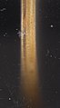 Gesalzene Sardellen, Vergrößerung der Sperrholzkappe mit einem Klebstofffleck, möglicherweise giftig