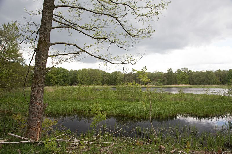 File:Ahlhorner Fischteiche 02.jpg