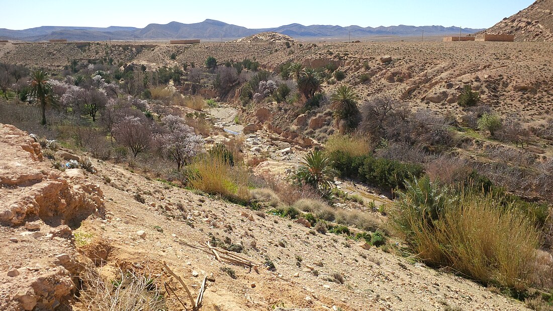 Deserts and xeric shrublands