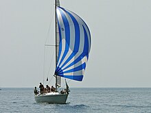 A Nova 33 flying a spinnaker. Albin Nova Saphira.jpg