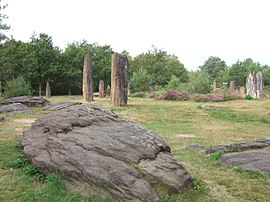 Monteneufdagi Menhirs de Monteneuf, arxeologik sayt