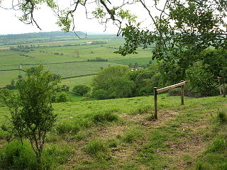 <span class="mw-page-title-main">Aller Hill</span> Nature reserve in Somerset, England