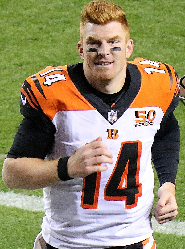 Dalton with the Bengals in 2017