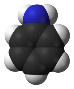 model molecular