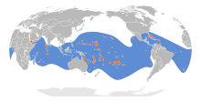 Distribution du Noddi brun