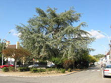 A street in Artix