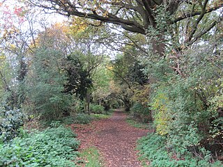 Ashley Lane (Hendon)